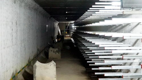 打造城市“生命線”，東海岸新城綜合管廊全面啟動機電設備安裝