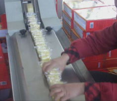 片裝整理機與包裝機 機電設(shè)備安裝的關(guān)鍵環(huán)節(jié)與實施要點